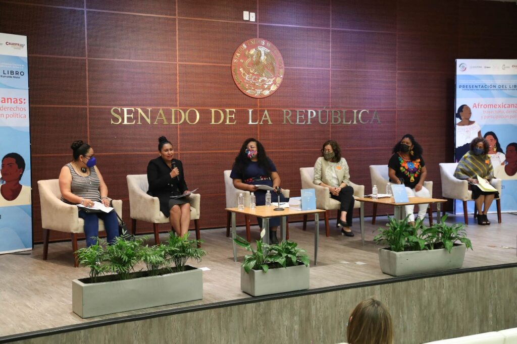 Se deben garantizar derechos de mujeres afromexicanas: Ana Lilia Rivera