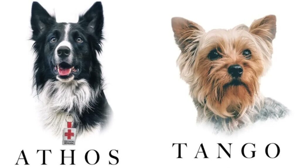 Declaran culpable al asesino de los perros Athos y Tango