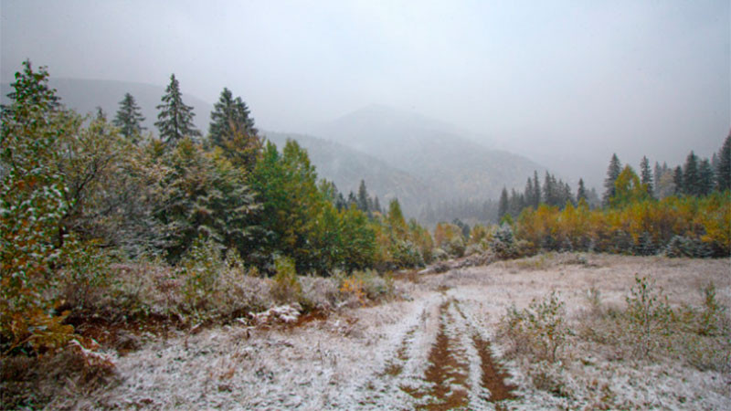 El clima reyuno: una jornada invernal con heladas y nieve en varias regiones