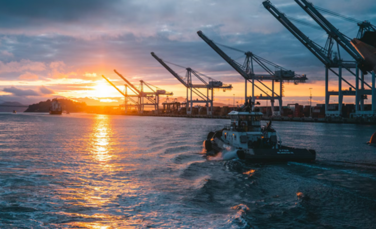 EE.UU. garantiza protección financiera de hasta 20.000 millones para buques en el Estrecho de Ormuz